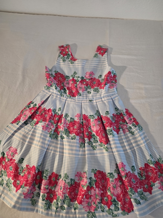 Special Editions Other - Special Editions Girls Pink Floral Stripe. Size 16 Fit-and-Flare Dress